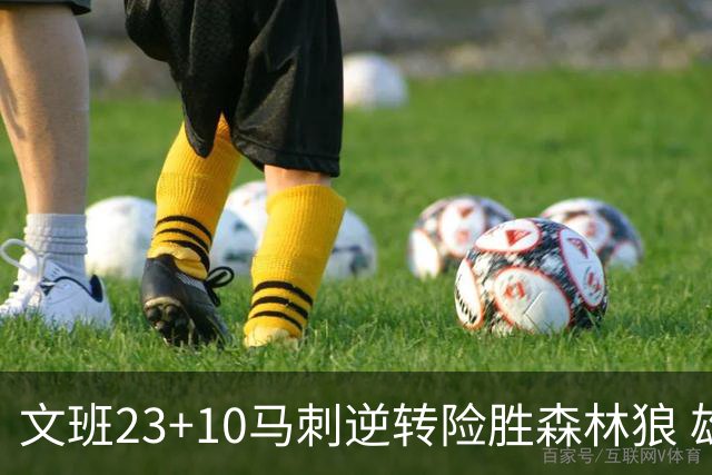 文班23+10马刺逆转险胜森林狼 雄鹿大胜鹈鹕